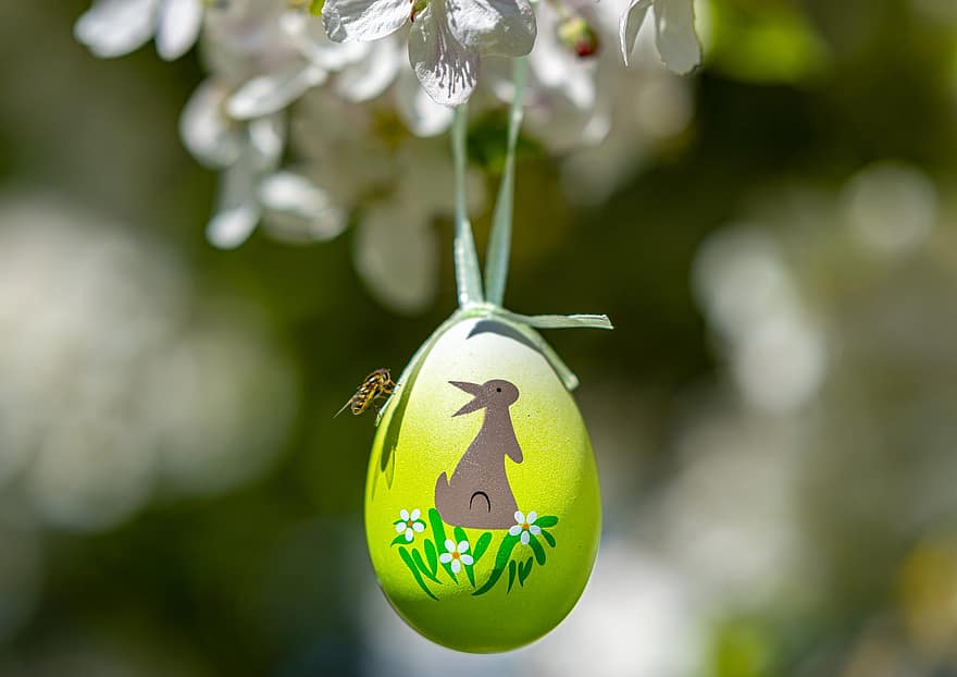 Easter, Easter Egg, Easter Decor, Apple Tree, Apple Blossoms, Flowers, Decoration, close-up, springtime, green color, season