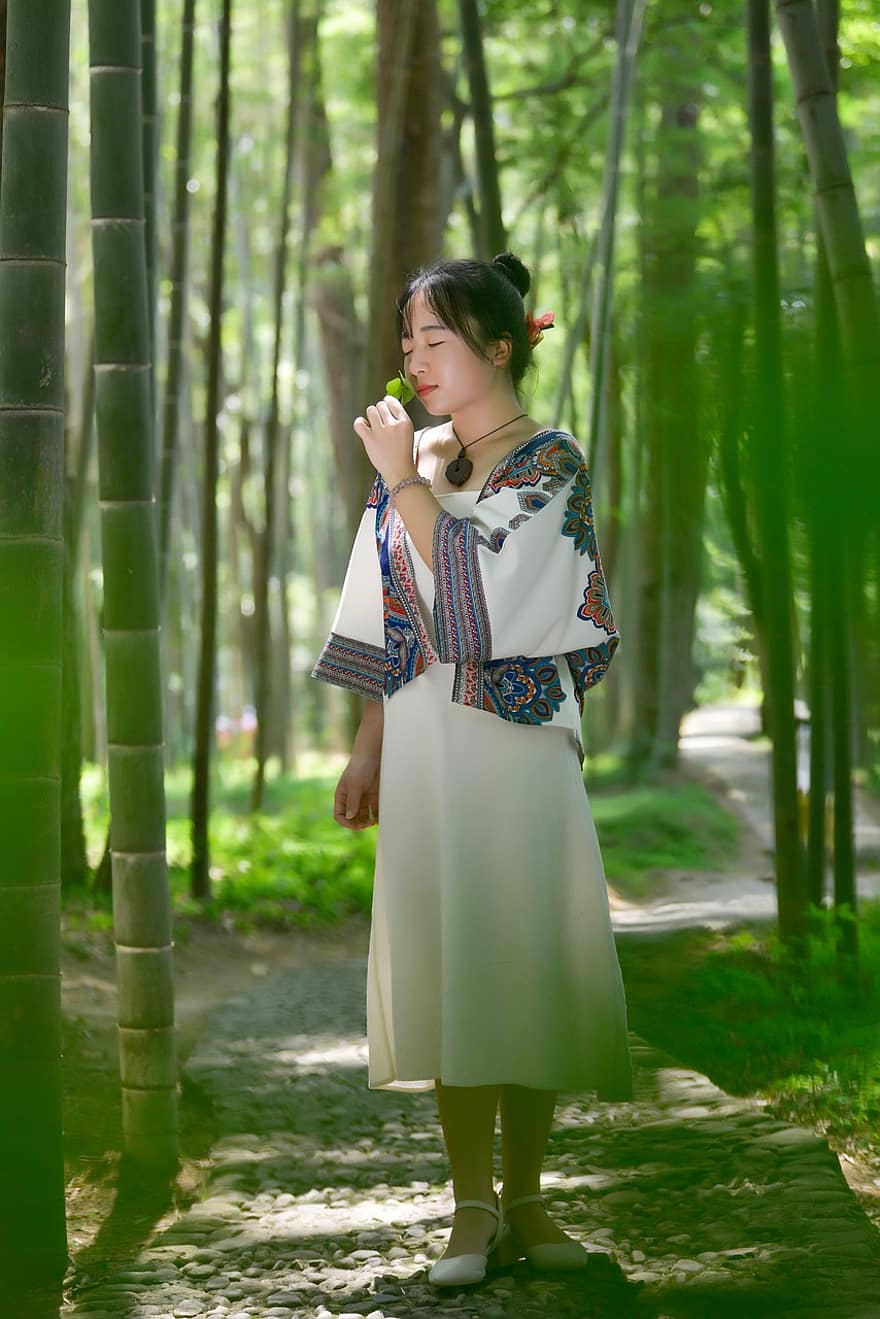 Hakka Girl, asiatisk, asiatisk jente, asiatisk kvinne, modell, mote, stil, garderobe, skog, bambus, bambus trær