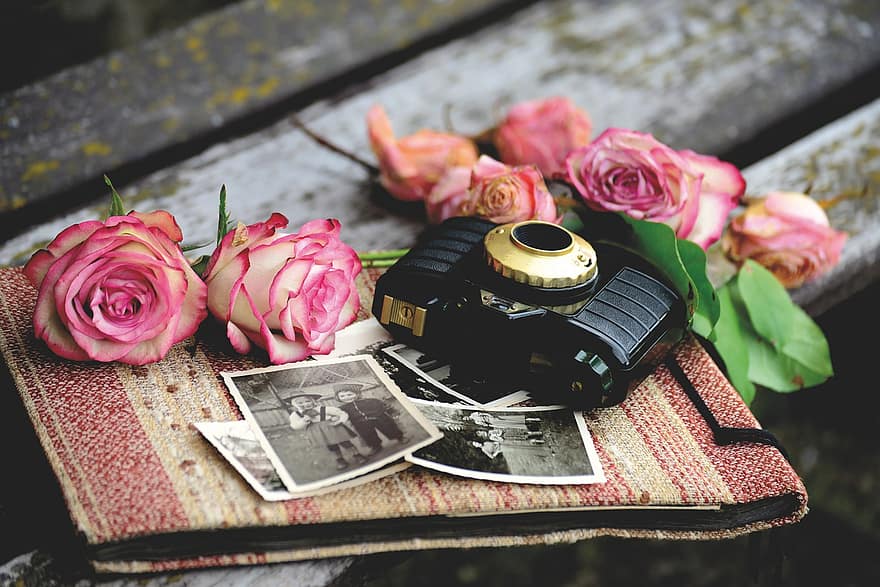 Fotoaparát, starý fotoaparát, růže, fotoalbum, nostalgie, grafické vybavení, staromódní, květ, starý, stůl, grafická témata
