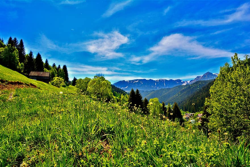 Berge, Gebirge, Grün, Sommer-, Karpaten, Rumänien, draußen, Natur, Berg, Wiese, Gras