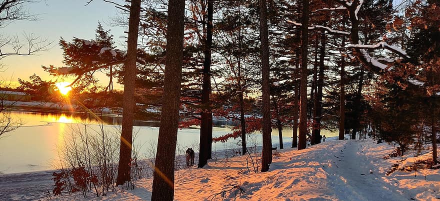 Boston, forêt, hiver, neige, le coucher du soleil, soir, Lac, des arbres, la nature, arbre, saison