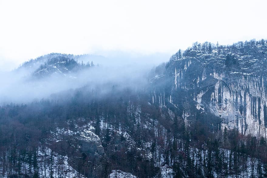Sfântul Gilgen, peisaj de ceata, iarnă, munţi, Austria, Munte, pădure, zăpadă, copac, peisaj, îngheţ