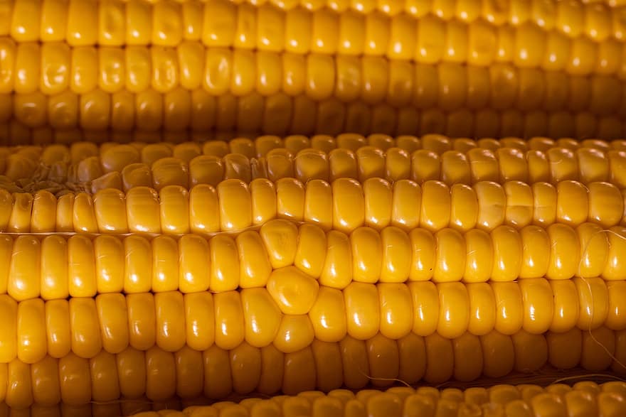 kukurūzų kukurūzai, kukurūzai, kukurūzų burbuolės, daržovės