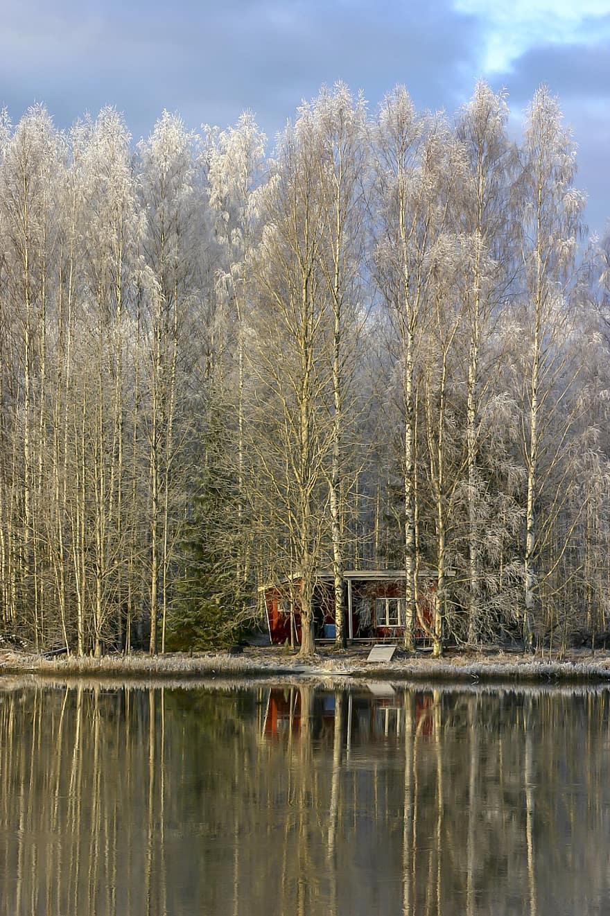 casa sul lago, lago, foresta, fiume, inverno, cottage sul lago, betulle, boschi