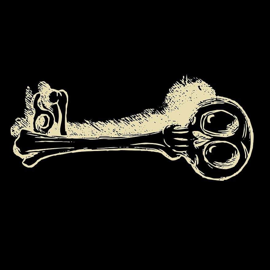 nyckel-, ben, skelett, Skräck