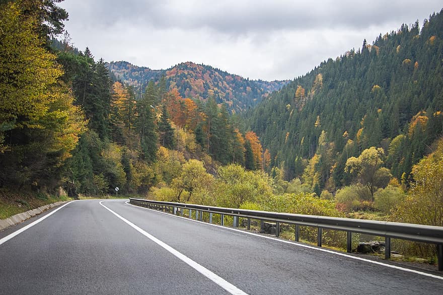 jalan raya, jalan, hutan, musim gugur, jatuh, perjalanan, pohon, pemandangan pedesaan, pemandangan, gunung, kuning