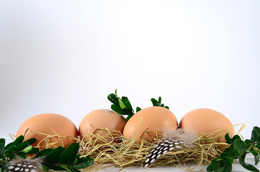 αυγά, ορτύκι, φαγητό, πρωτεΐνη