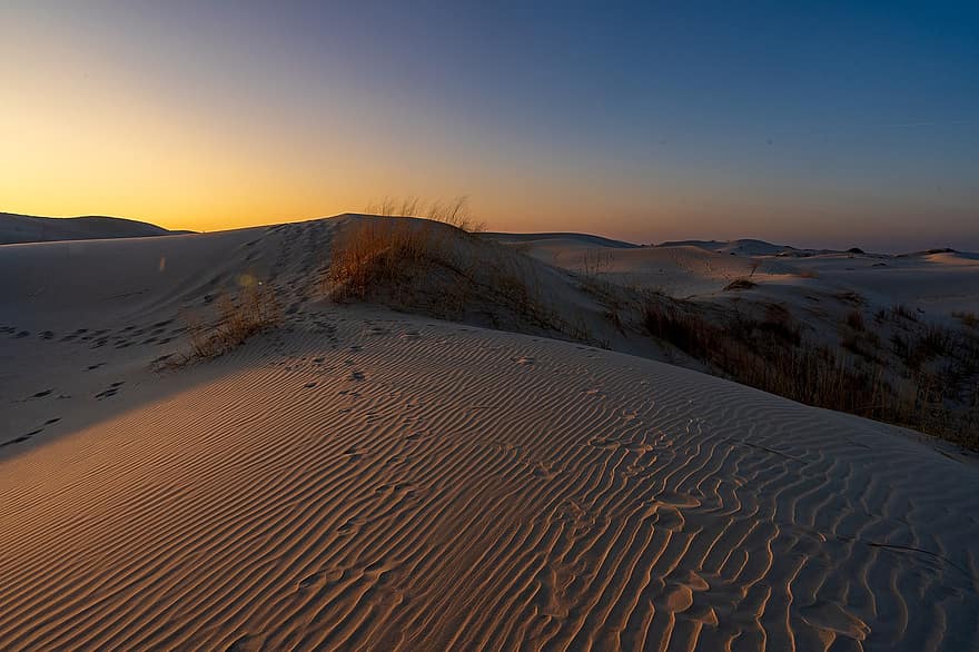homok, dűnék, sivatag, Napkelte, texas, természet, homokdűne, tájkép, napnyugta, száraz, napfény