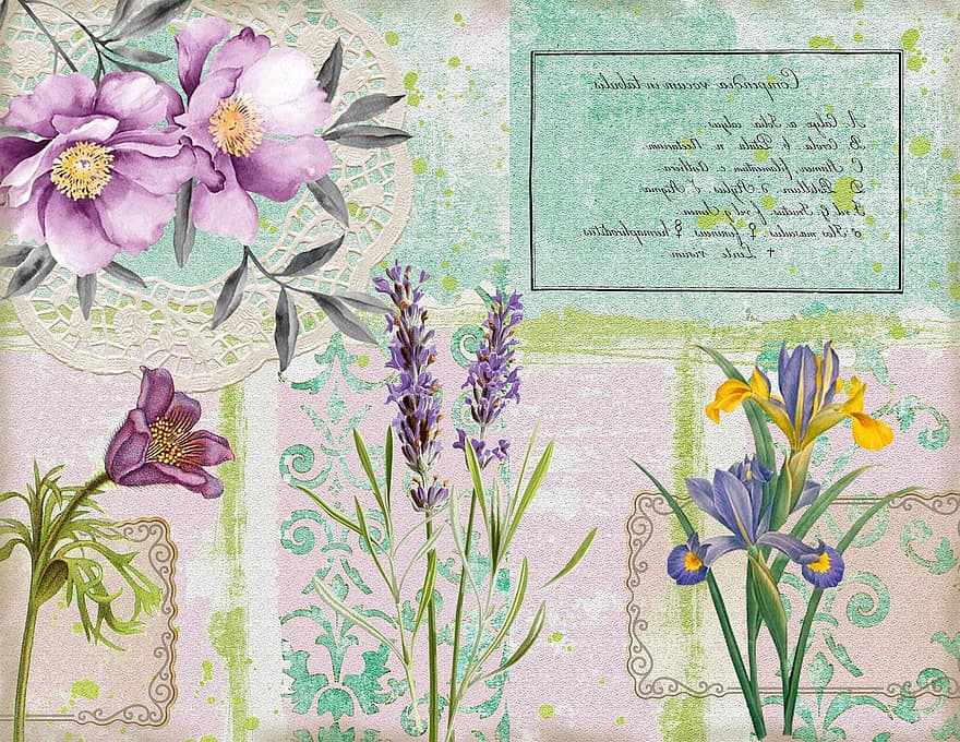 blommig, klippbok, blomma, botanisk, bakgrund, papper, skräp journal, bakgrunder, illustration, dekoration, växt