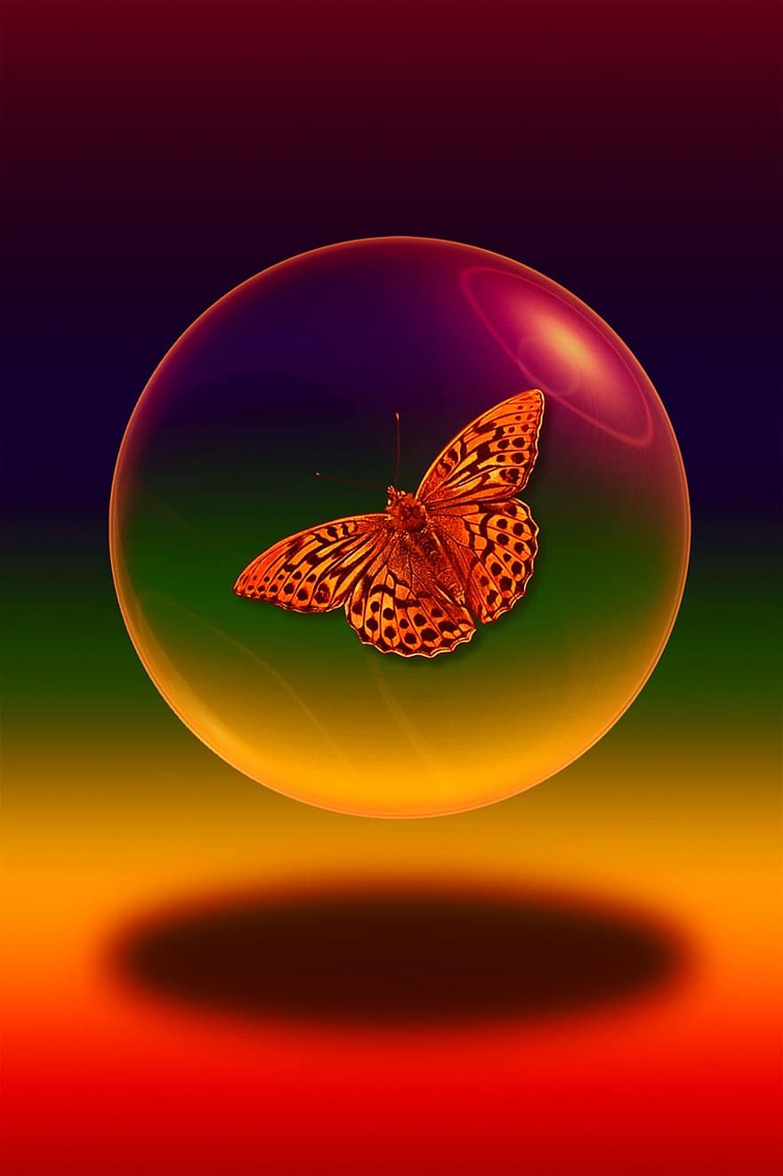 метелик, м'яч, тінь, мильна бульбашка, комаха