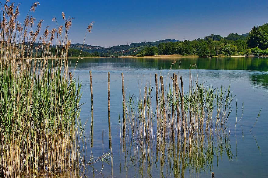 tó, természet, szabadban, Aiguebelette-le-lac, Rhone-Alpes