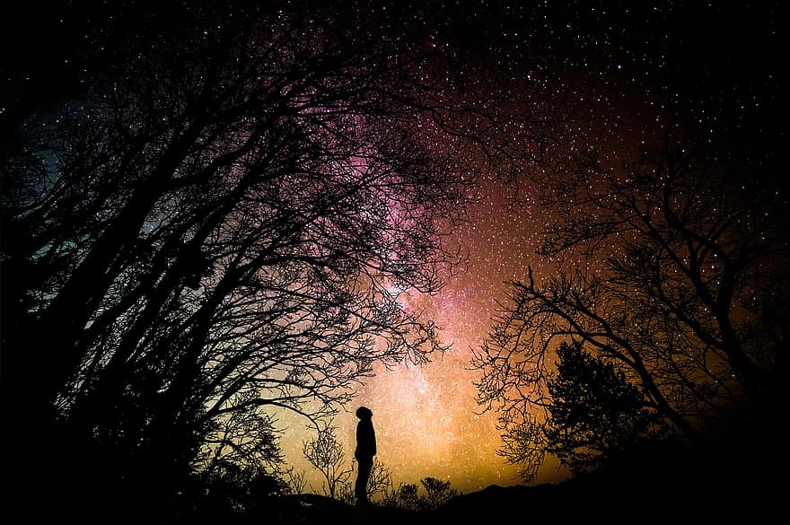 mežs, zvaigznes, galaktika, naktī, ainavu, koki, tumšs, zvaigznājs, siluets, astronomija, raksturs