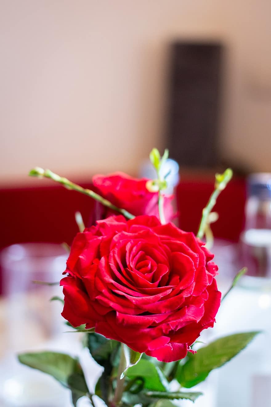 ローズ、花、フラワーアレンジメント、花束、テーブルデコレーション、お祝い、デコレーション、花瓶、デコ