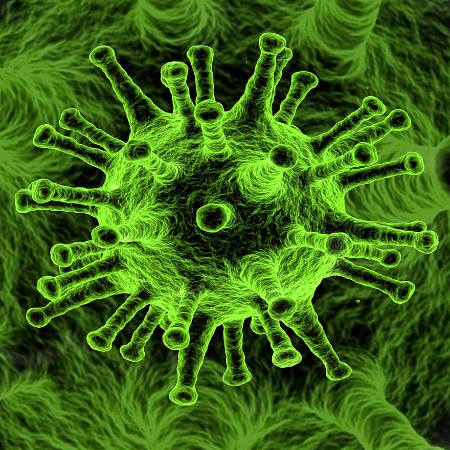 COVID-19, вирус, инфекционное заболевание, коронавирус, пандемия, здоровье, болезнь, эпидемия, медицинская, вспышка, SARS-CoV-2