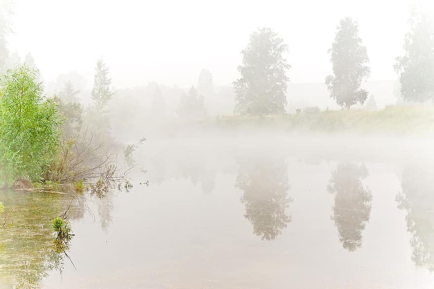 mlha, jezero, Příroda, voda, stromy, odraz, les, strom, krajina, podzim, klidné scény