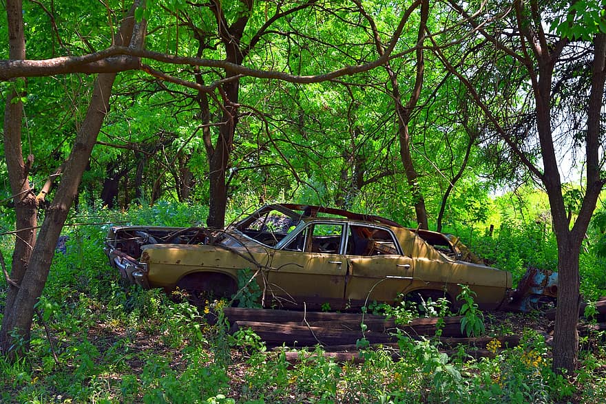 abandonat, cotxe, bosc, automàtic, vehicle, automòbil, ferralla, arbres, transport, vehicle terrestre, arbre