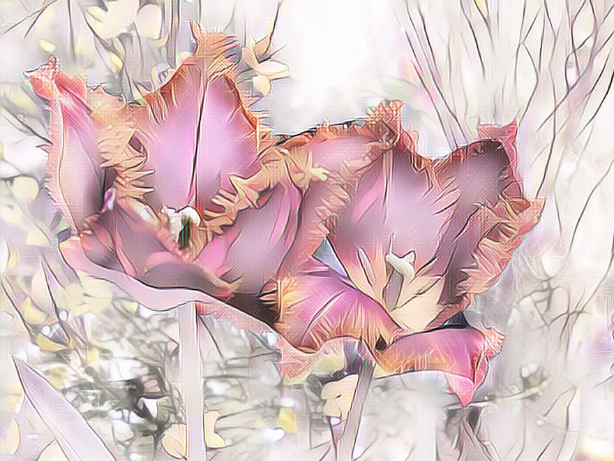tulipano, Tulipani Gefranzte, pittura digitale, colori pastello, pastello, rosa, astratto