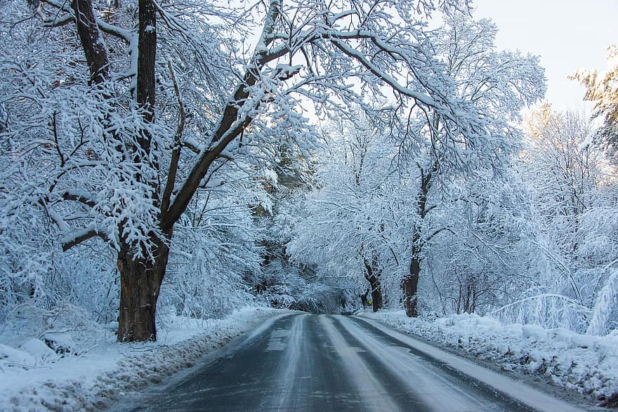 Droga, śnieg, drzewa, las, zimowy, Nowa Anglia, South Borough, Massachusetts, pora roku, sceniczny, Natura