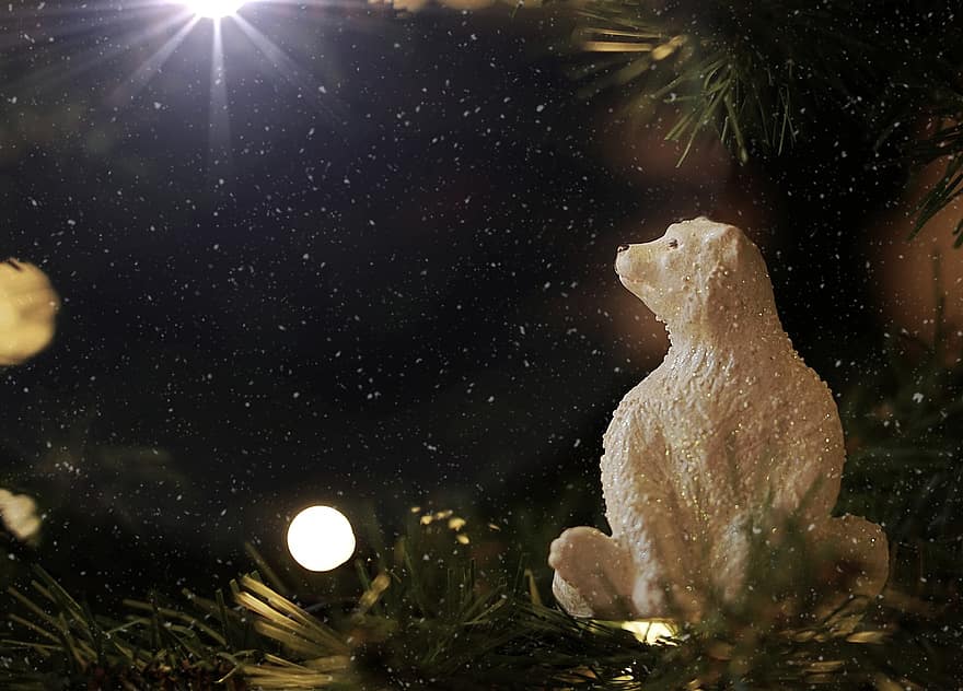 ós polar, arbre de Nadal, Nadal, avet, globus de nadal, adorn de Nadal, decoració de Nadal, ornament, bauble, decoració, nit
