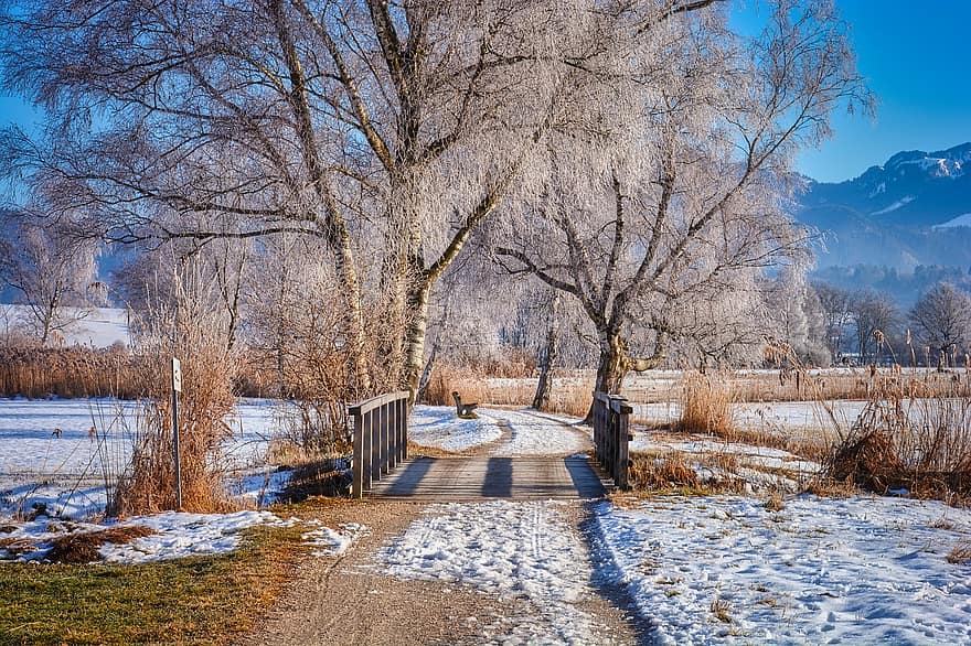 Dirt Road, Snow, Winter, Path, Frost, Cold, Trees, Road, Nature, Landscape, Outdoors