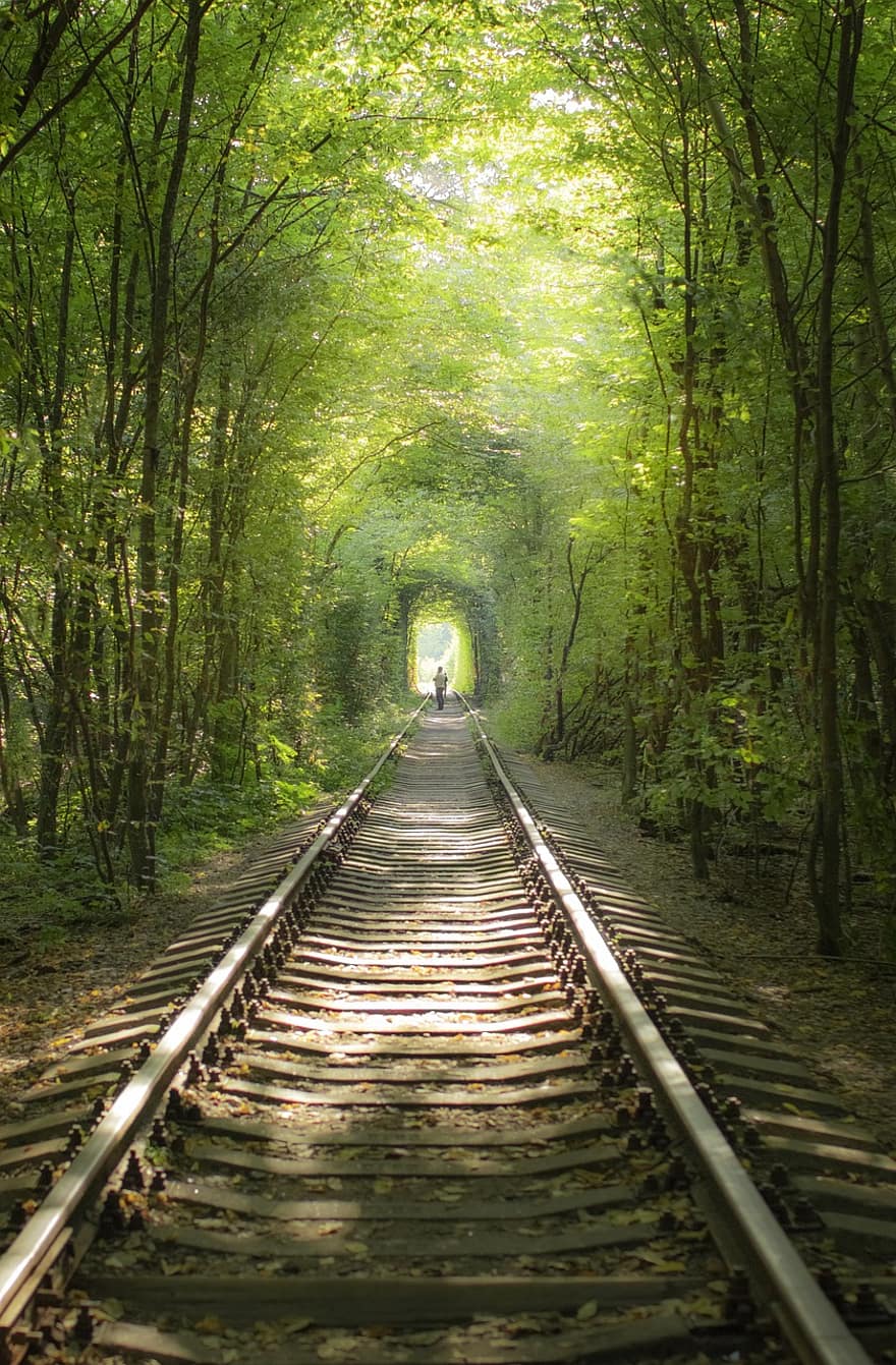 dzelzceļš, dziesmas, tunelis, koki, lapas, zaļumi, mežs