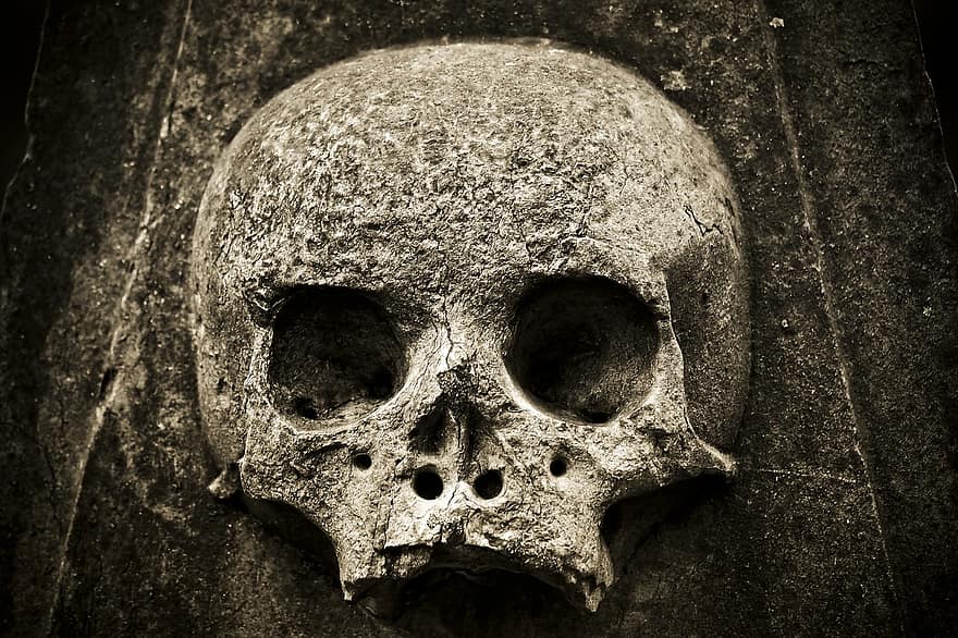 kranium, skelet, rædsel, natur, grav, kirkegård, frygt, tæt på, gammel, død, sten-