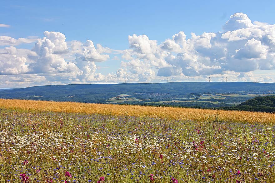 landschap, natuur, Saarland, Hochwald, wolken, hemel, weide, bloemenweide, bergen