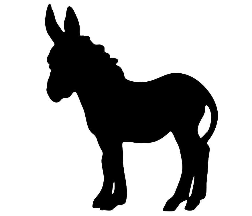 burro, animal, bonic, negre, silueta, art