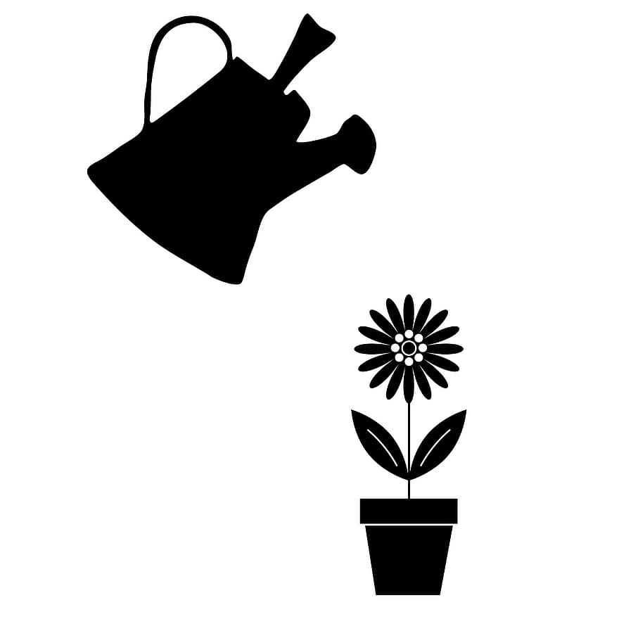 regadora, flor, planta, olla, olla de la planta, aigua, llauna, jardineria, reg, naturalesa, cura