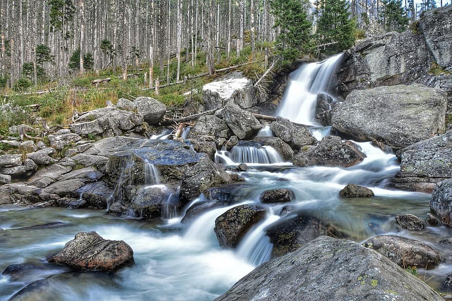 Водопады Холодного Ручья, поток, горные породы, каскады, водопады, река, ручей, воды, течь, камни, лес