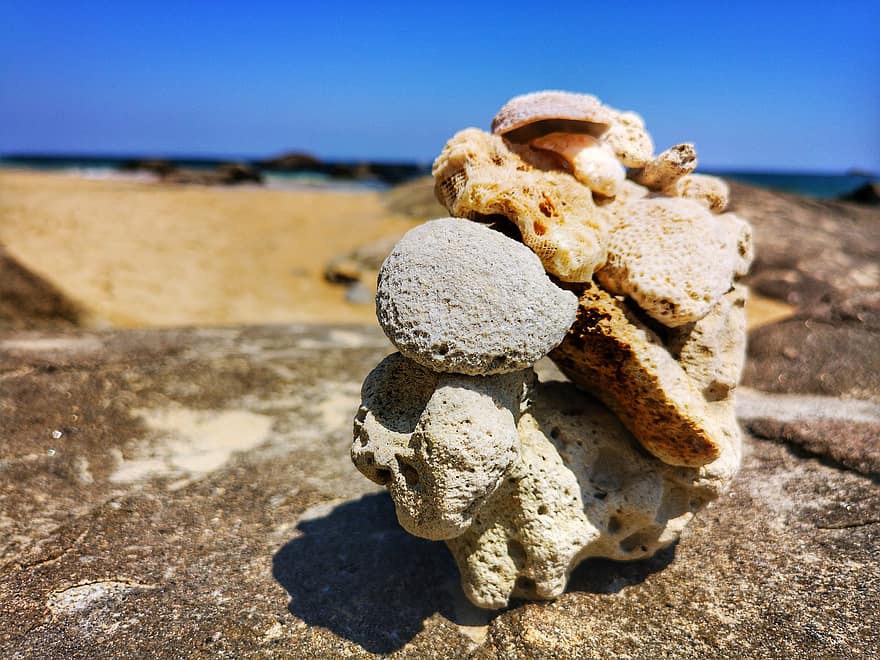 بلح البحر ، الصخور ، الحجارة ، كومة ، دعم ، ساحل ، تايلاند
