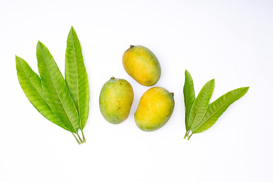 фрукти, манго, стиглі манго, Свіжі манго, свіжі фрукти, ізольовані, свіжість, лист, зелений колір, їжа, органічні
