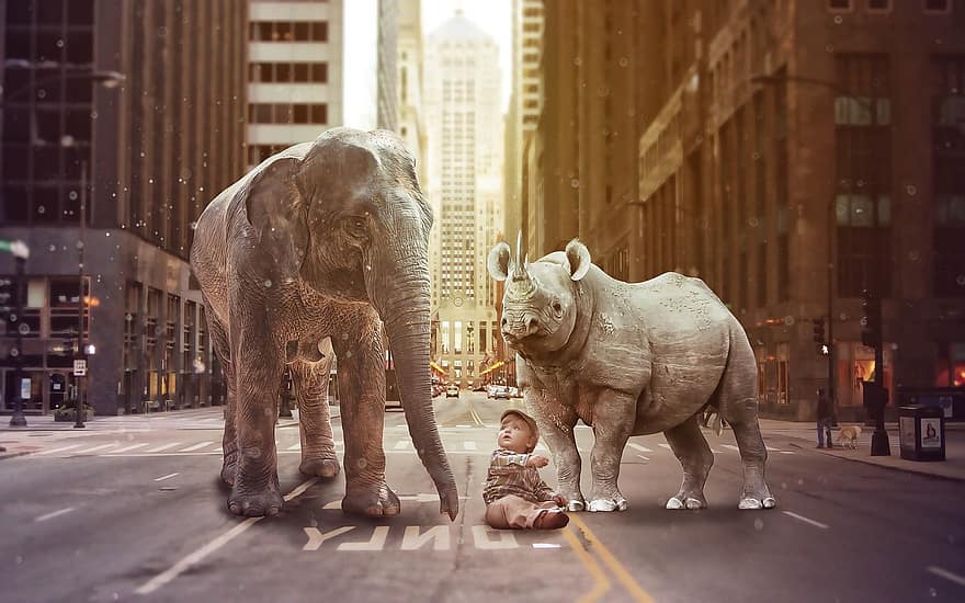 مدينة ، نيويورك ، مانهاتن ، الولايات المتحدة الأمريكية ، رأي ، عرض مبنى إمباير ستيت ، السفر ، حيوان ، الفيل ، وحيد القرن ، طفل