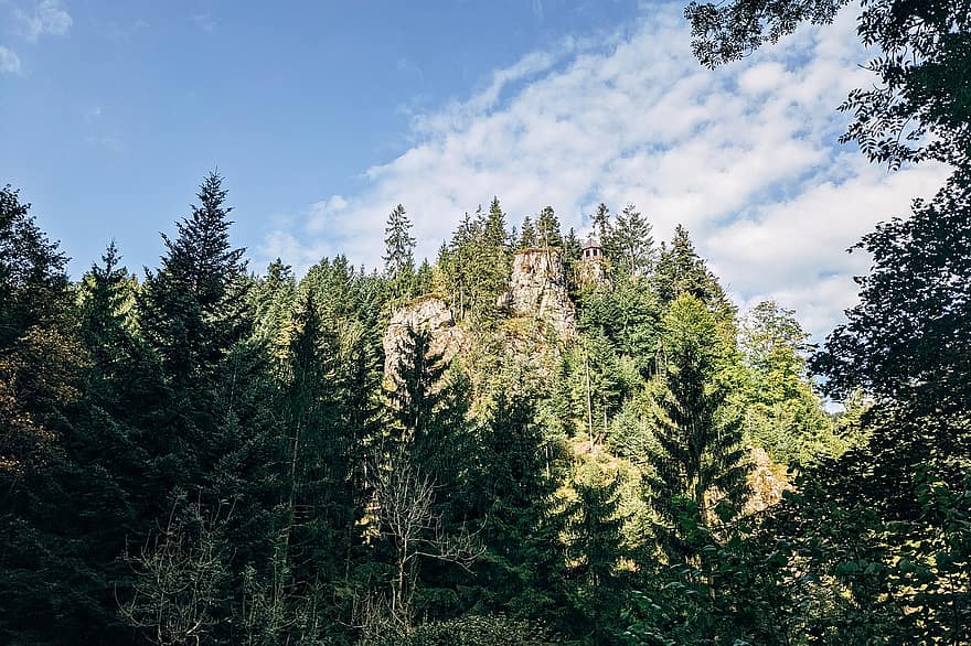 природа, деревья, на открытом воздухе, путешествовать, исследование, лес, Бургбах, Баден-Вюртемберг, Freiburg, туризм, приключение