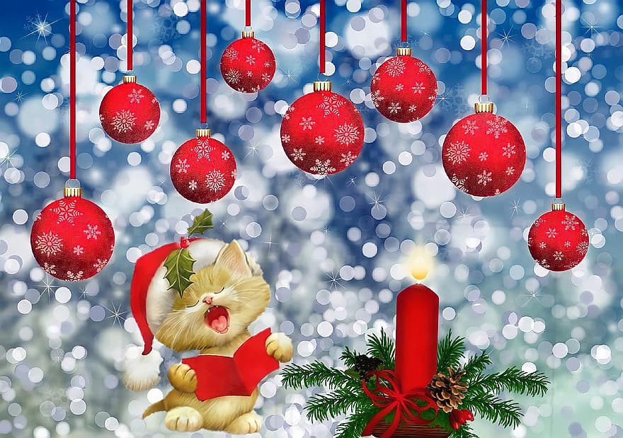 크리스마스, 양초, 고양이, 인사말 카드, 장식, 출현, 휴일, 축하, 겨울, 배경, 눈송이