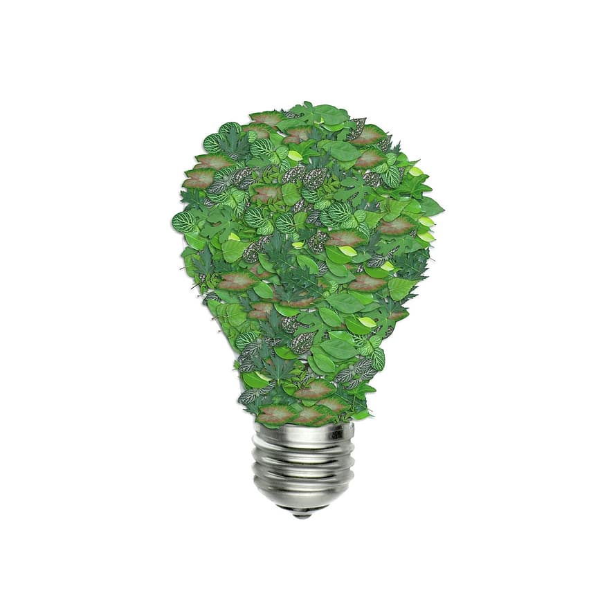 Bombilla verde, ecología, verde, energía, ambiente, ambiental, ecológico