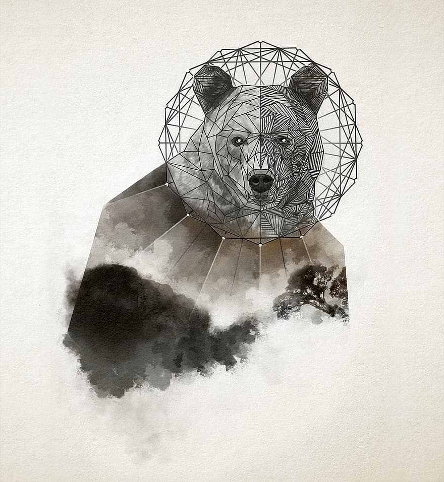 Urso, geométrico, animal, criativo, animais selvagens