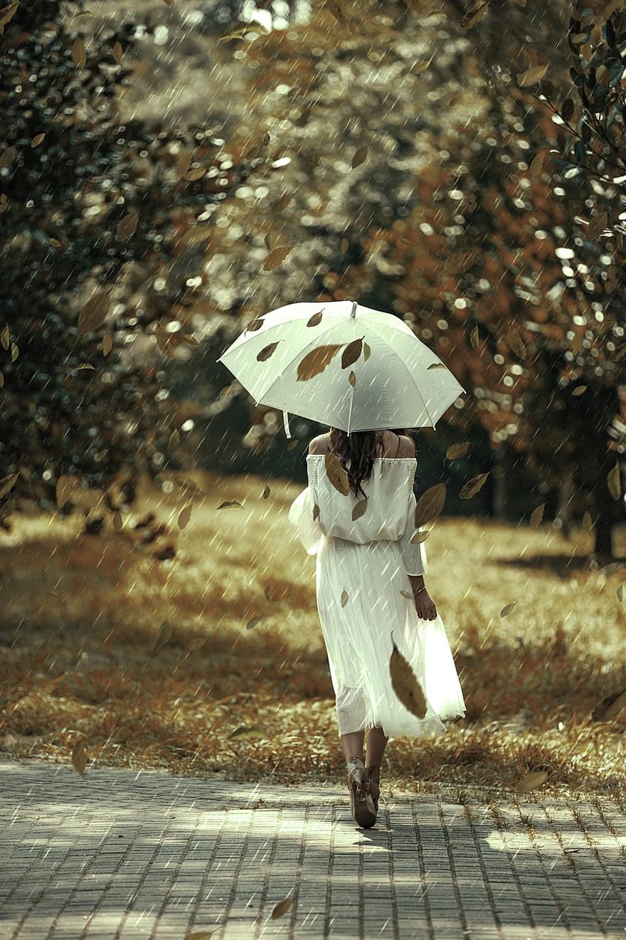 kız, şemsiye, orman, yağmur, Kadın, beyaz, elbise, doğa, sonbahar