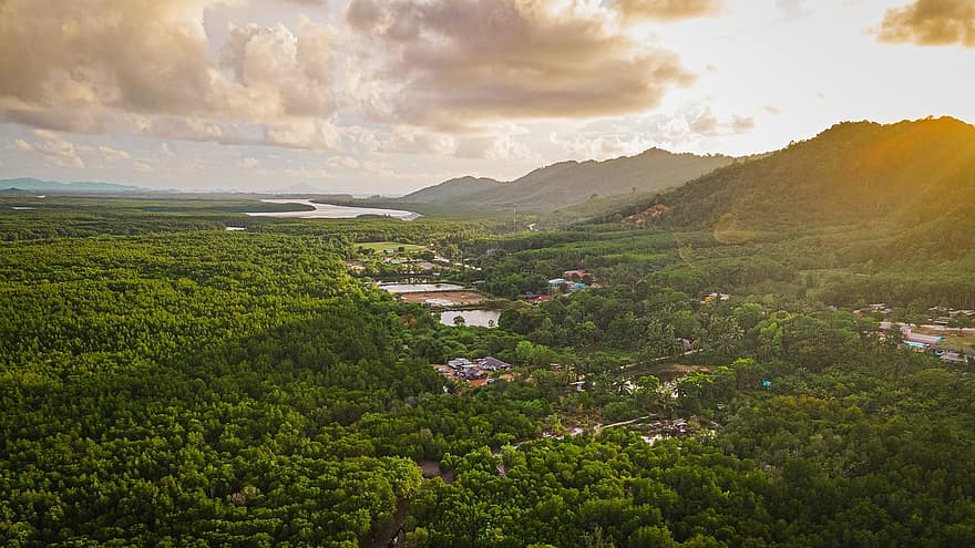 koh lanta, by, skog, mangrove, panorama, landskap, thailand, Krabi, tropisk, trær, jungel