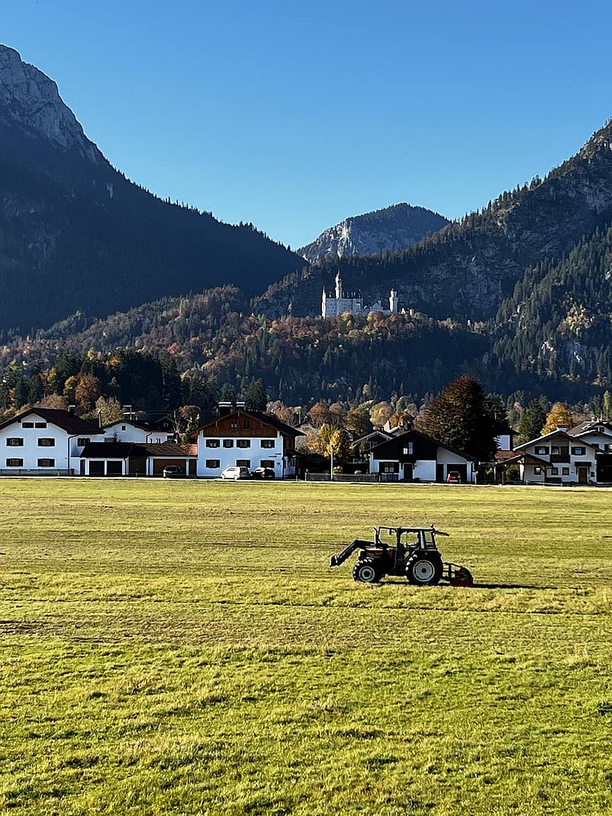 castelo, Castelo de Neuschwanstein, Campos, Prado, natureza, Allgäu, Alpes, montanhas, cena rural, Fazenda, montanha