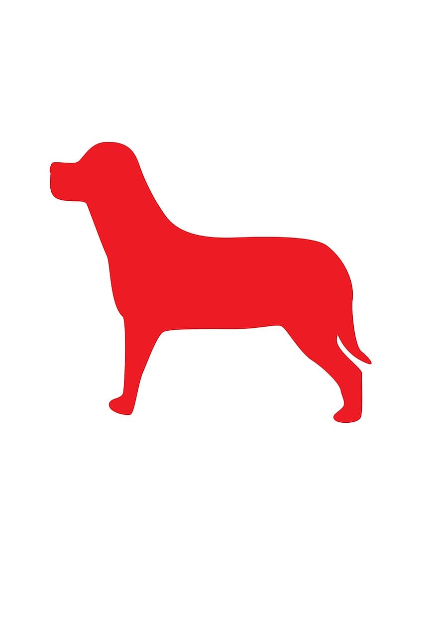 hund, pub, silhouette, rød