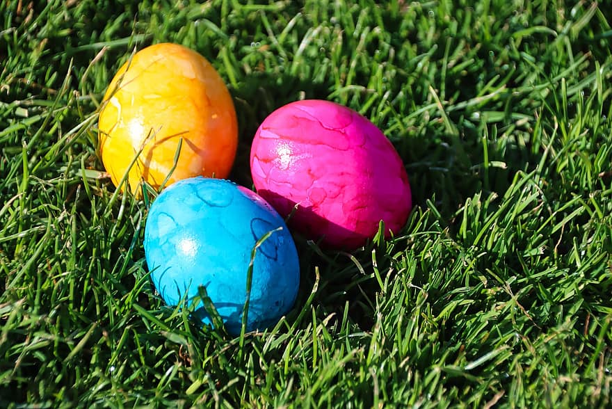 Paas eieren, Pasen, eieren, veelkleurig, gras, multi gekleurd, groene kleur, lente, decoratie, detailopname, weide