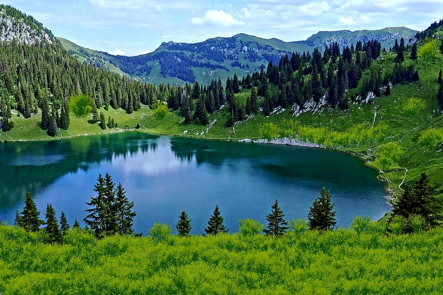 vale, lac, munţi, reflectarea apei, copaci, de munte, decor, pitoresc, mediu rural