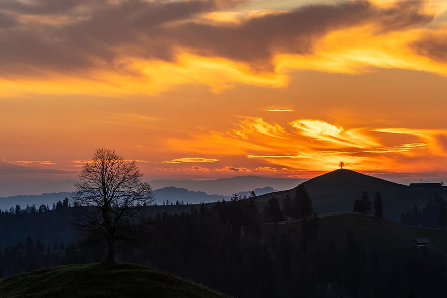 Sunset, Trees, Hills, Mountains, Silhouettes, Backlighting, Sky, Skyscape, Dusk, Twilight, Afterglow
