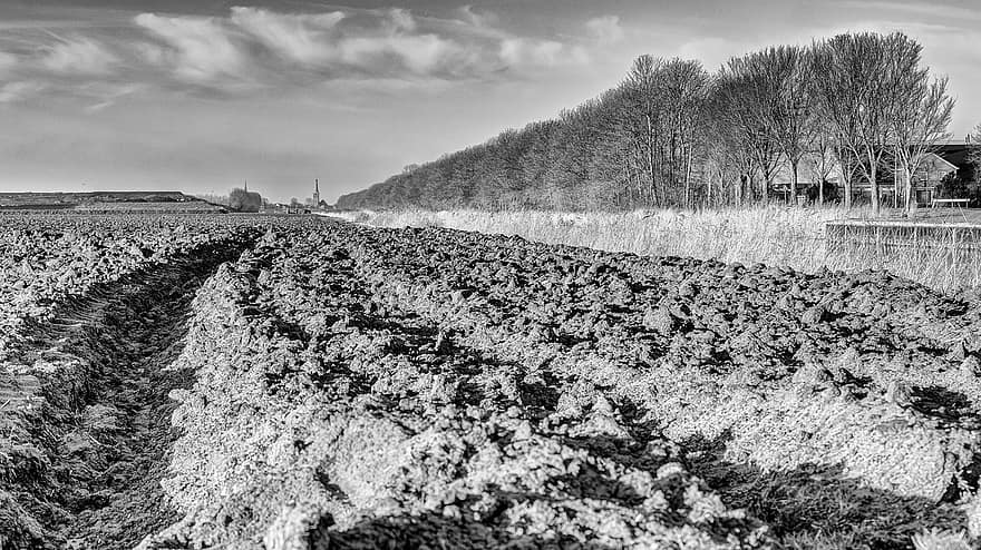Landscape, Trees, Mud, The Front, Field, Agriculture, Winter