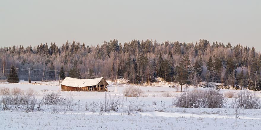 granero, nieve, campo, bosque, invierno, La luz del atardecer, Finlandia