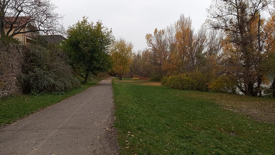 путь, деревья, листья, листва, парк, изгиб Дуная, дерево, падающие листья, осень, Zebegény