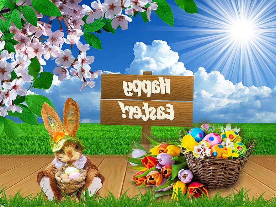 velikonoční zajíček, velikonoční, tulipány, jaro, kvetoucí větev, blahopřání, tráva, oslava, košík, sezóna, květ