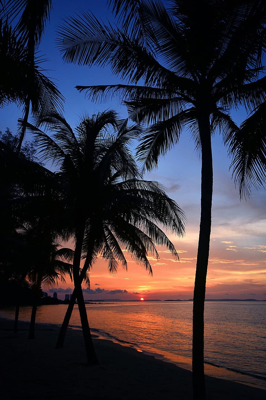 posta de sol, platja, paradís, vespre, crepuscle, palmeres, illa tropical, mar, oceà, sortida del sol, illa