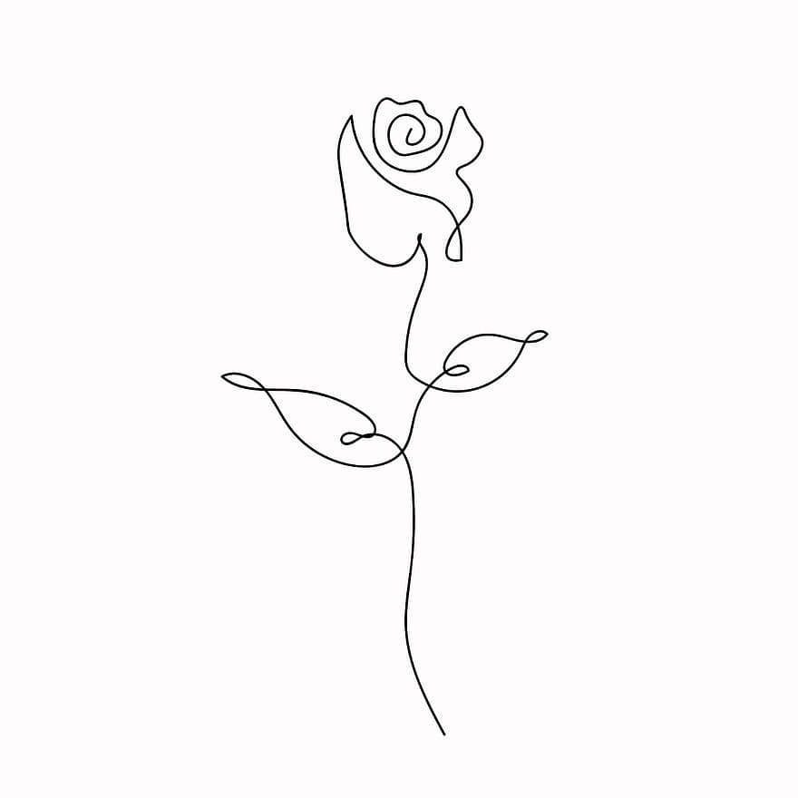 roos, tekening, ontwerp, lijn, romantisch, bloem, achtergrond
